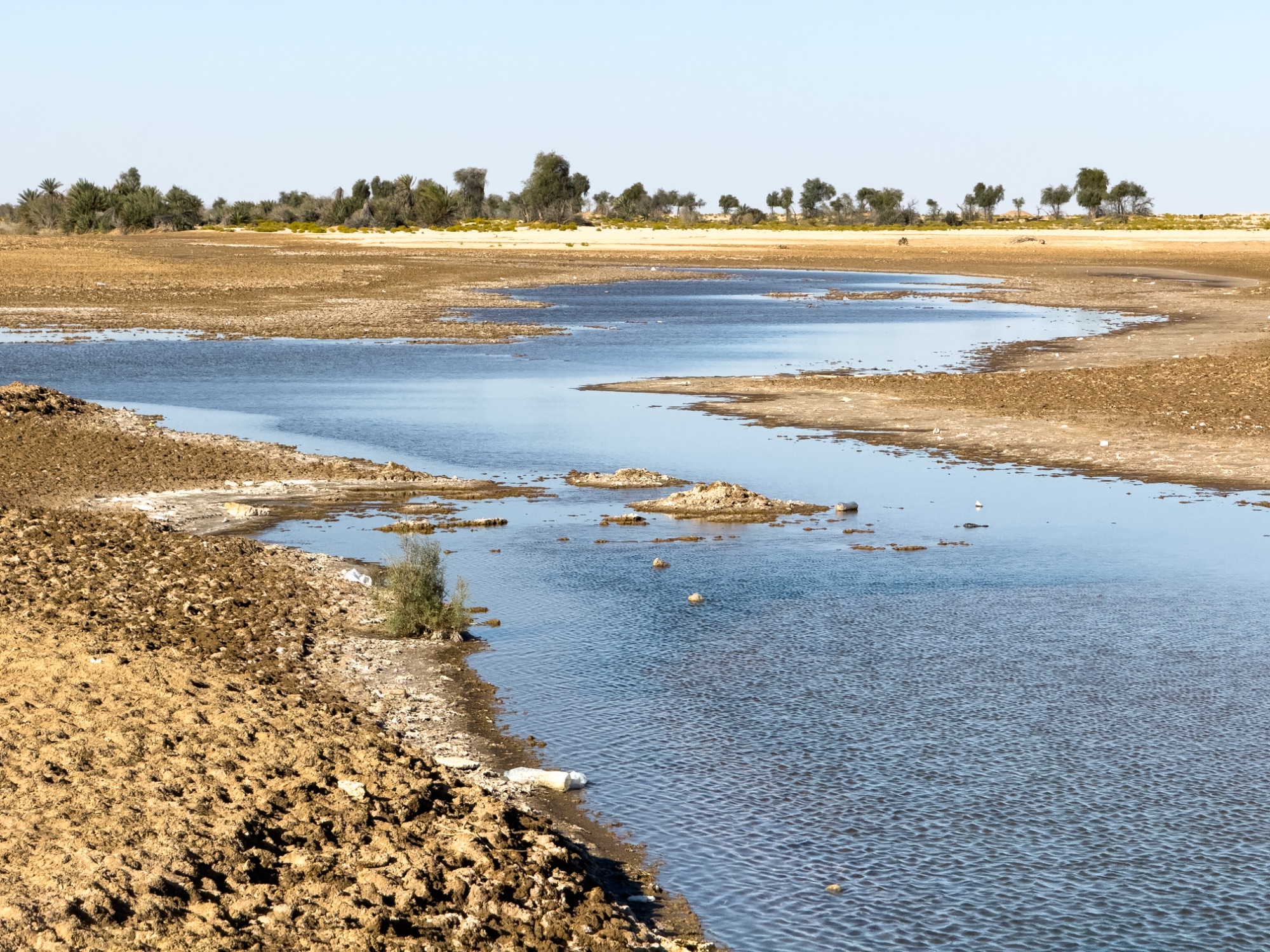 maqshin oasis 