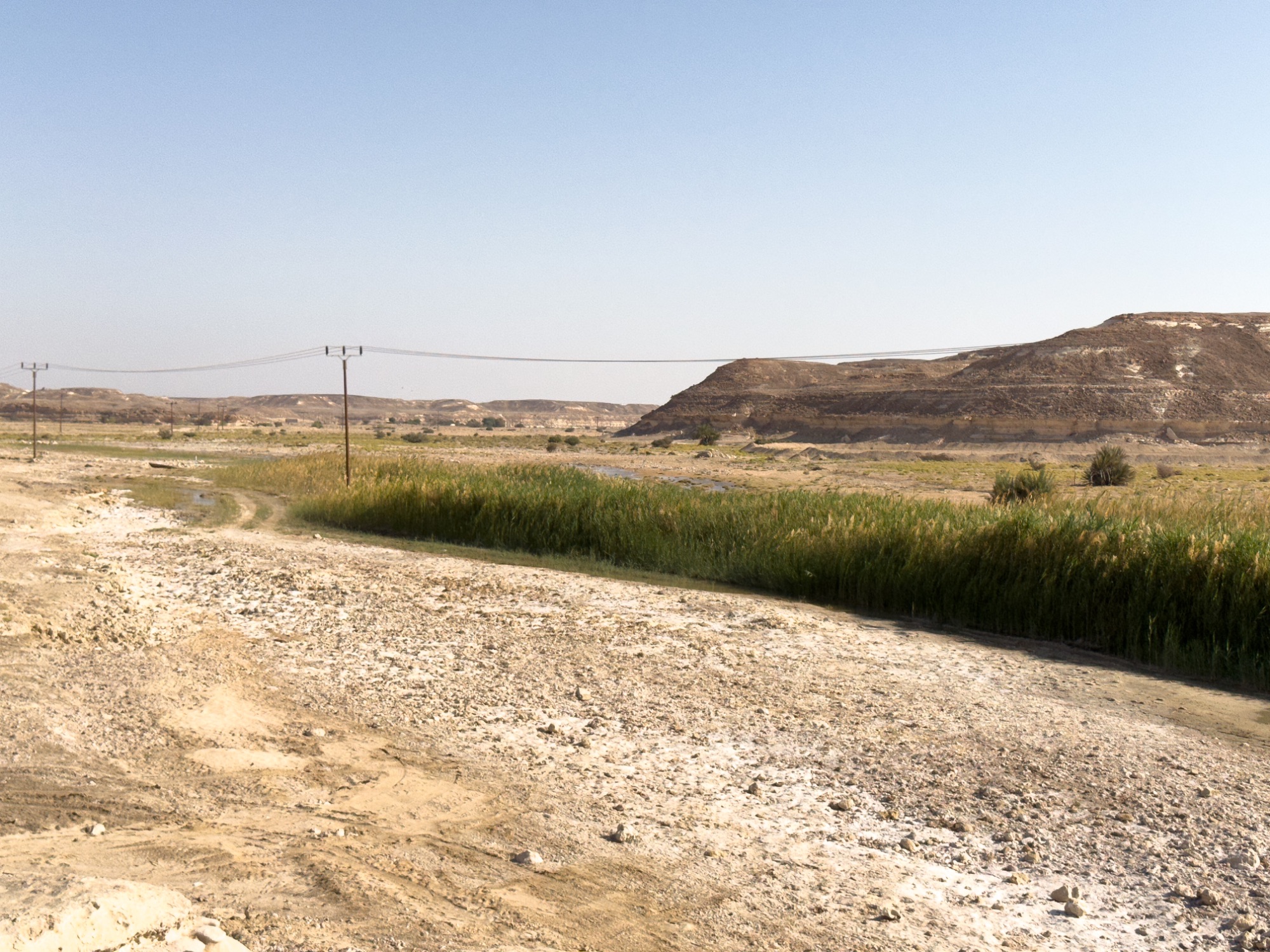 Sandgrouse pools