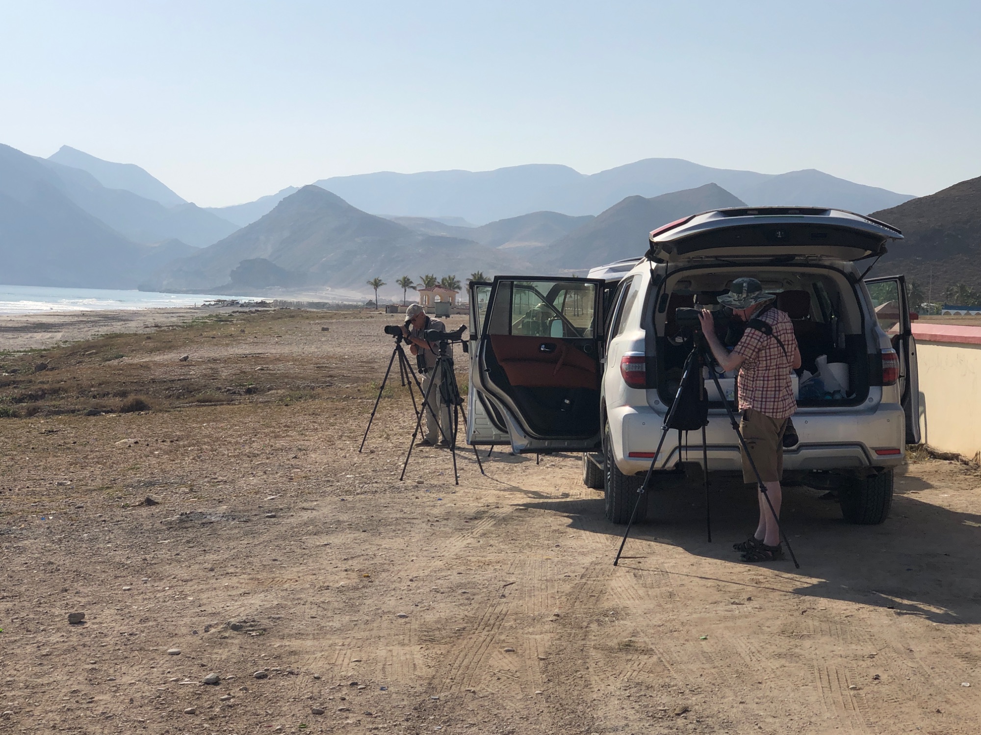 oman birding