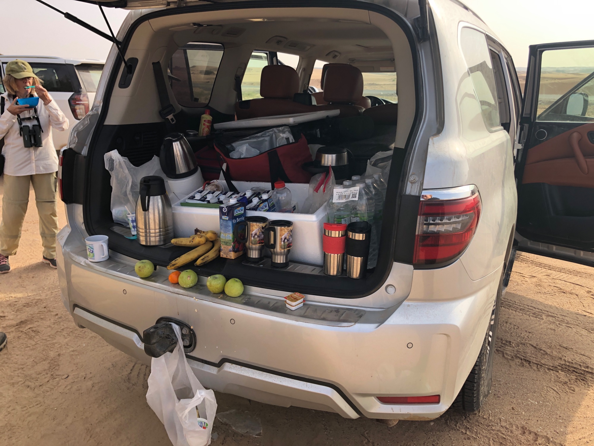oman birding