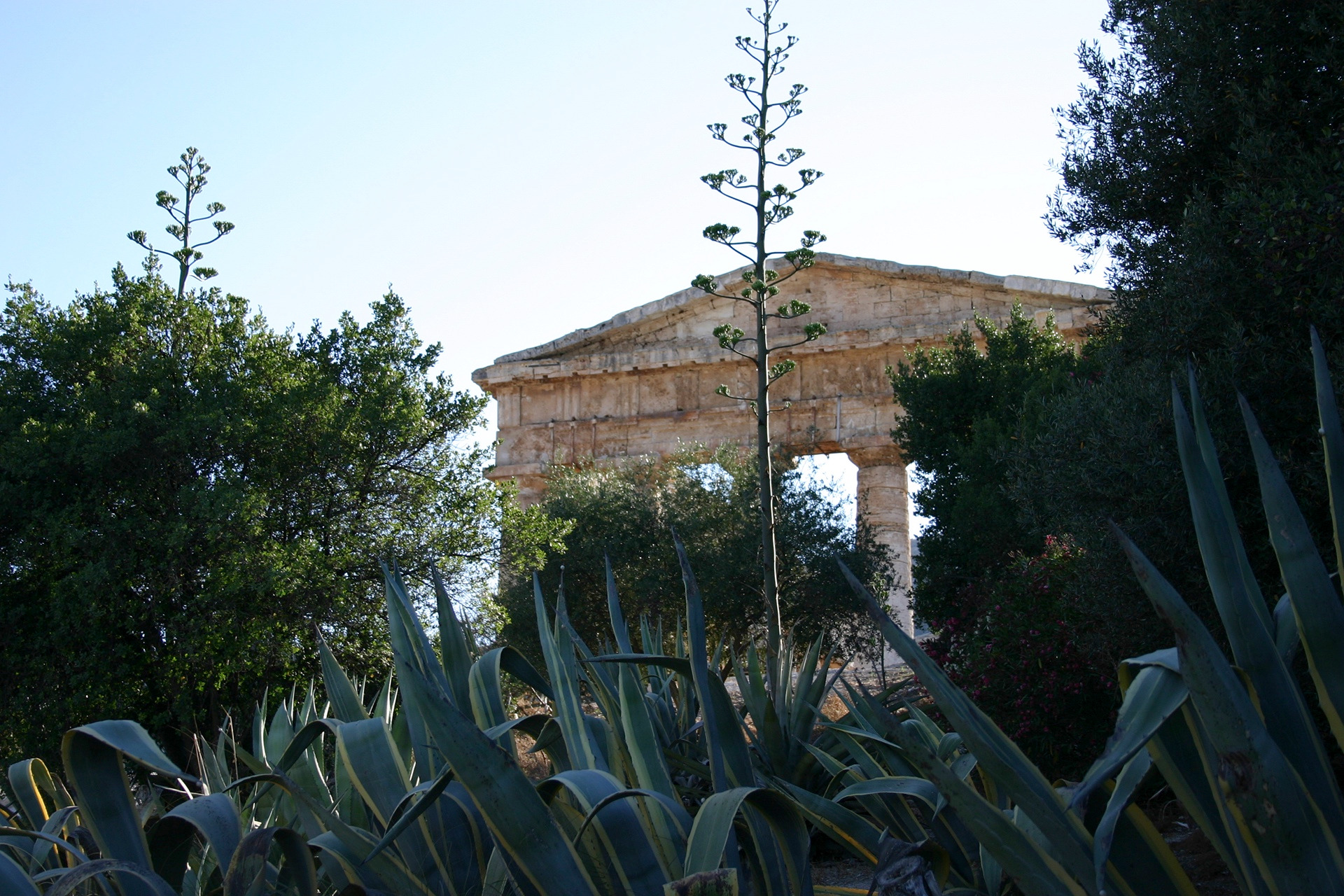 Segesta_nr3039.jpg