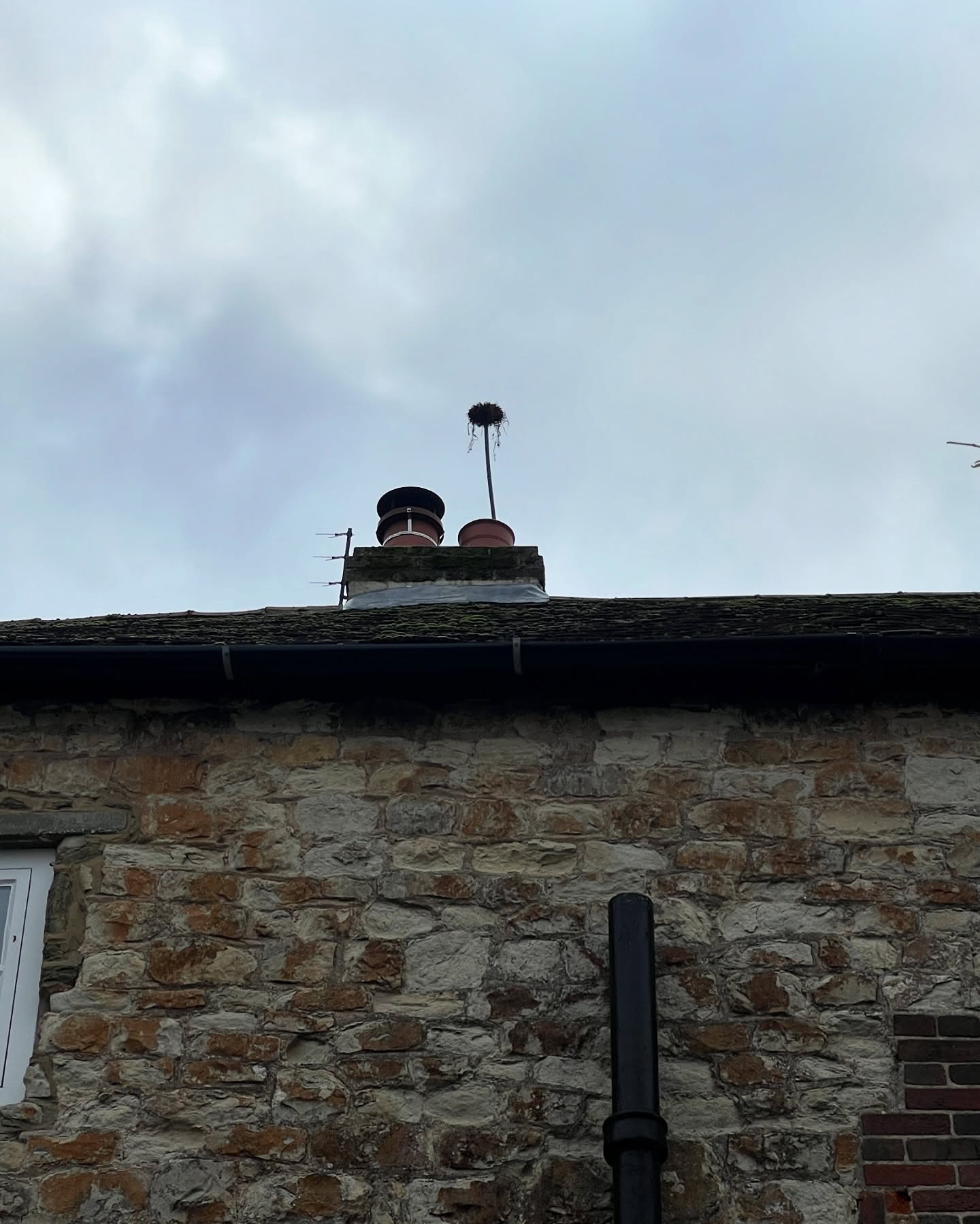IMG_0910.jpeg