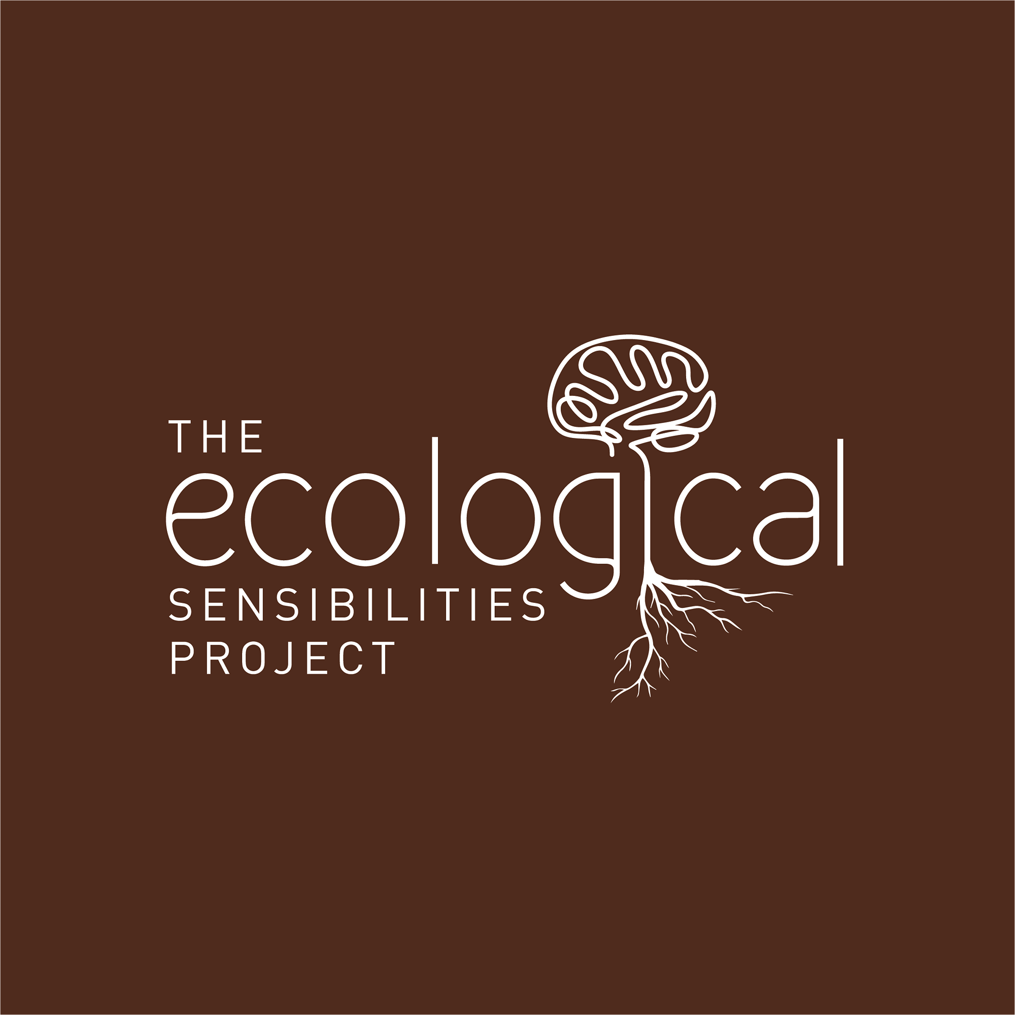 ECO-SENSE-PROJECT--BROWN-BKD.png