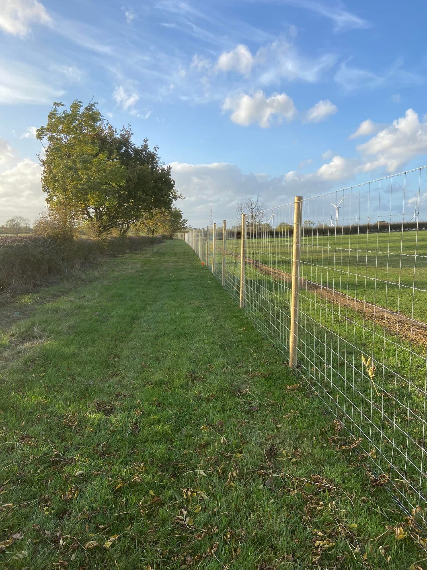 Deer fence