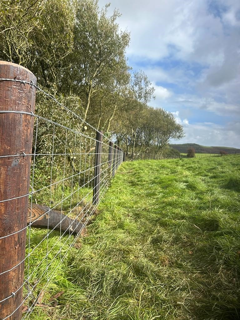 Fence