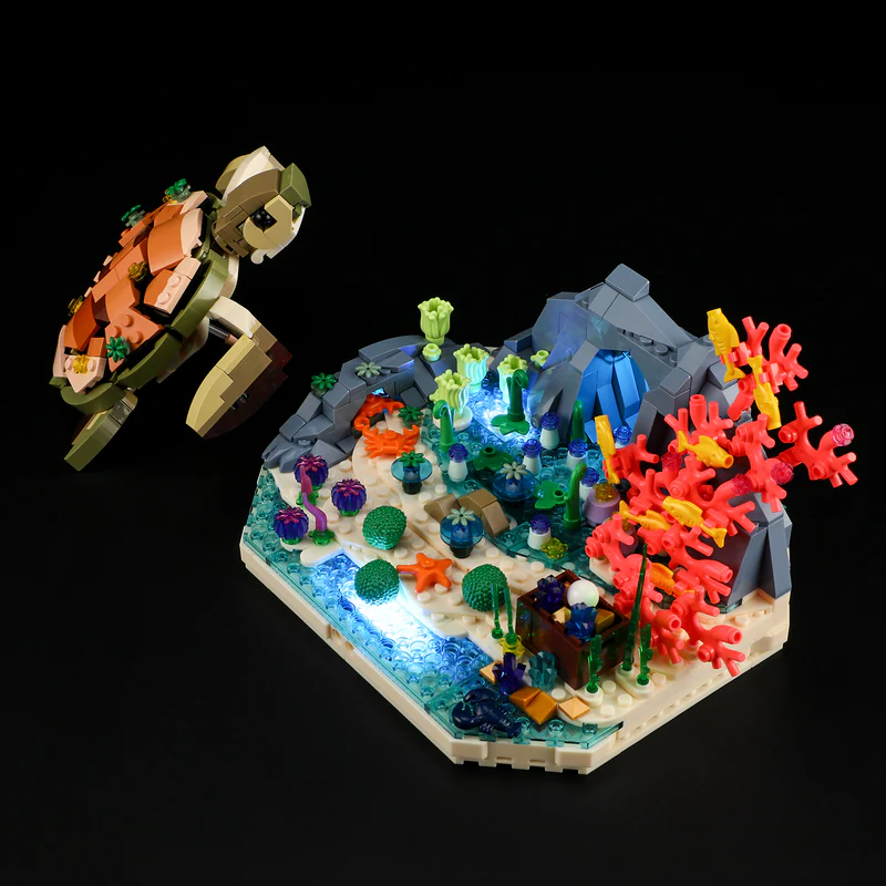 Turtle Reef Dream