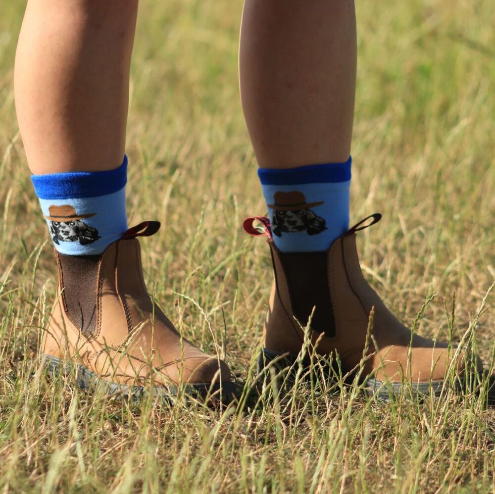 Spaniel Cowboy Socks
