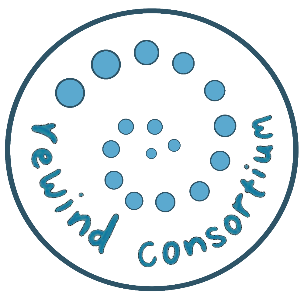 Birth Reflections & 3-Step Rewind