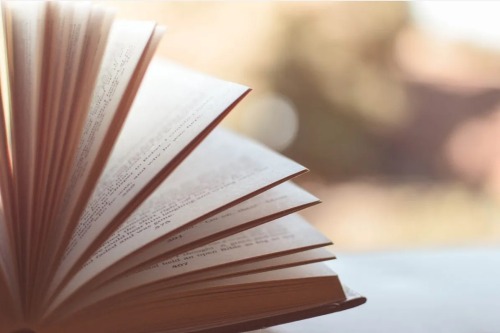 book image