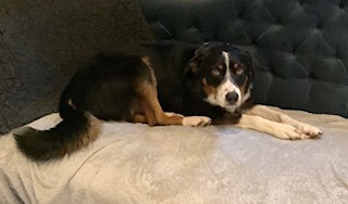 max in new home 2.jpeg