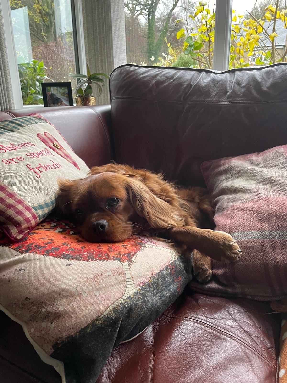 Kingsley new home 2.jpg