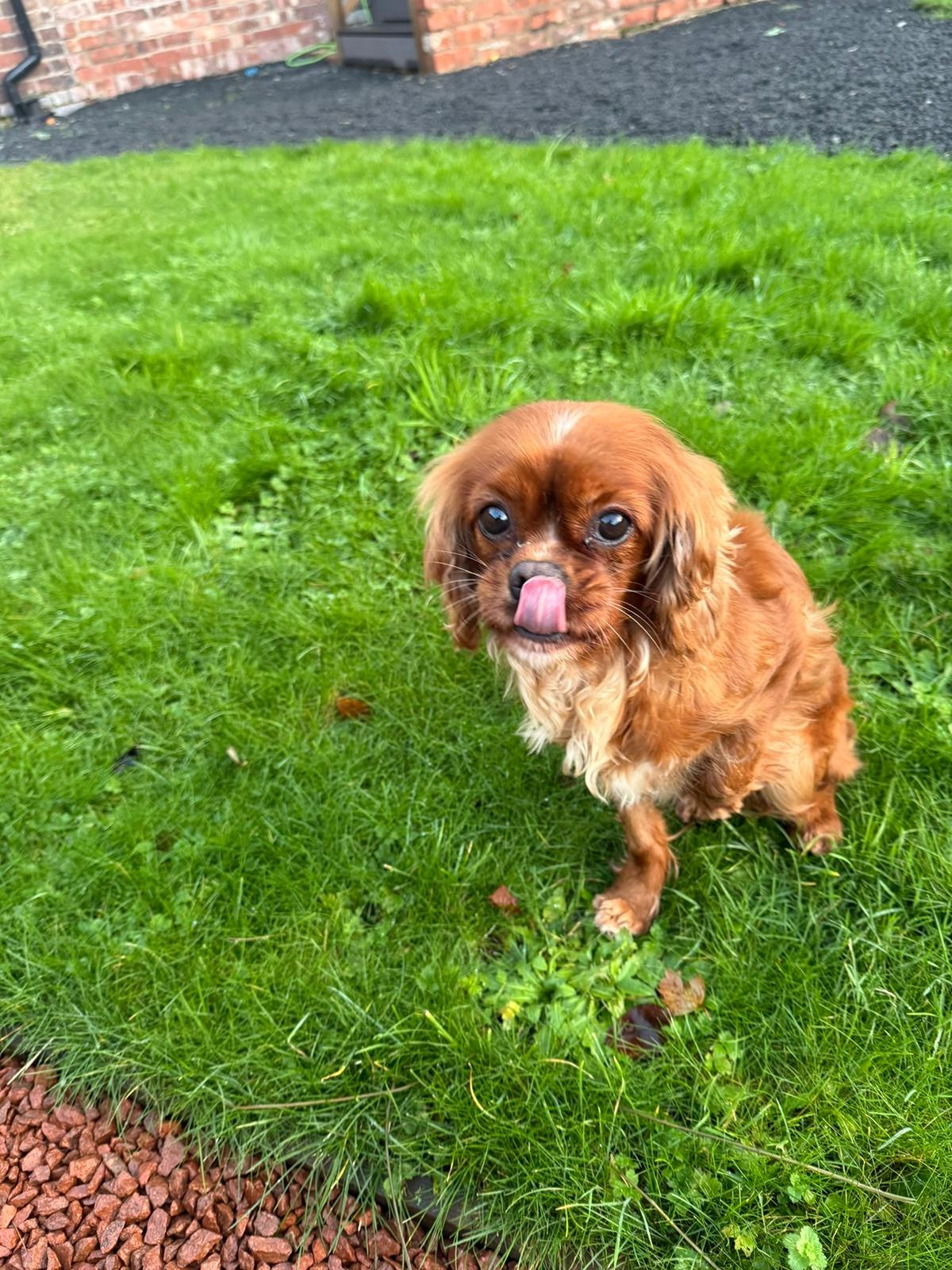 bella new home 2.jpg