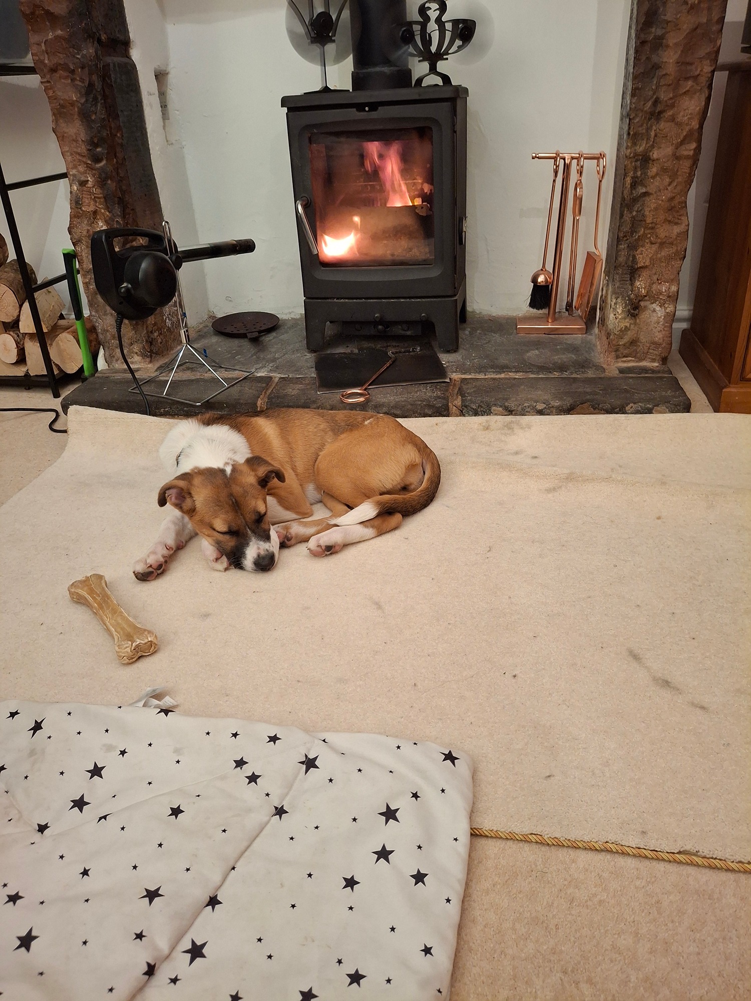 floss was victoria 2.jpg