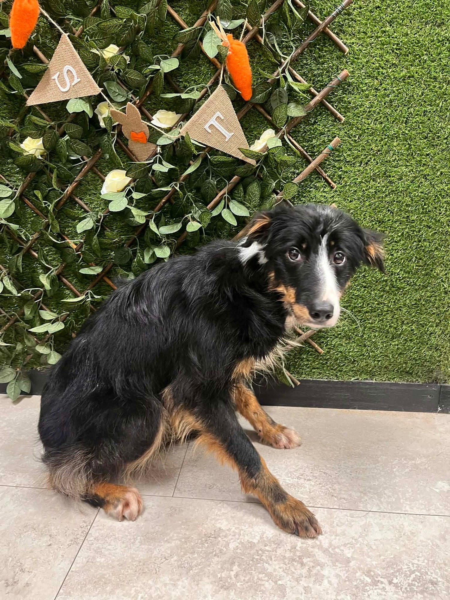 tina