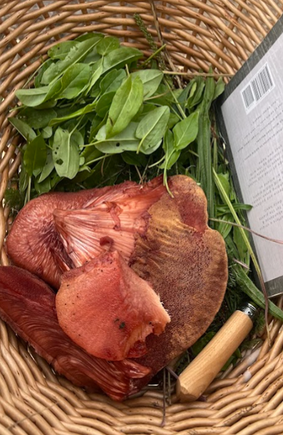 New6th Sept 2025: Autumn Foraging & Feast Workshop