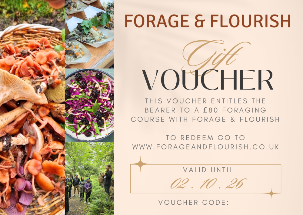 Foraging and Cookery Course Voucher For One