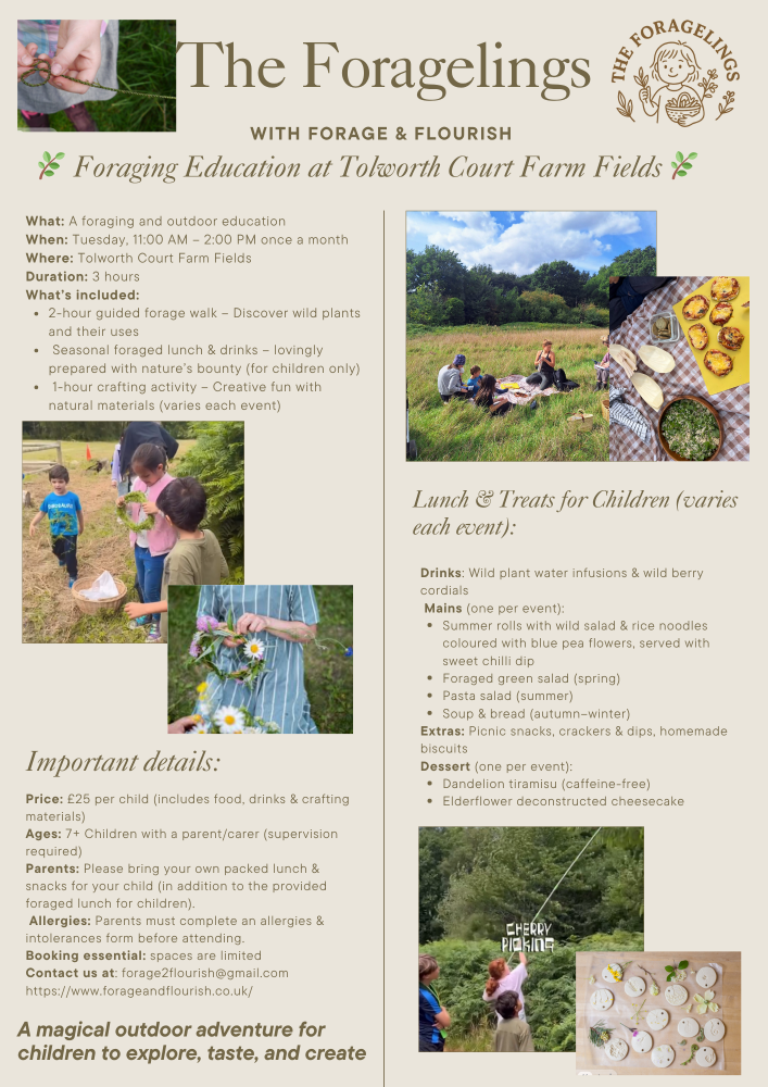 14/10/25: Forage & Craft Children's Course