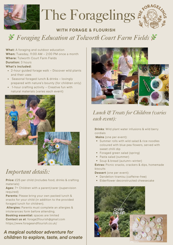 18/11/25: Forage & Craft Children's Course