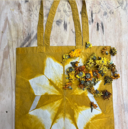 14th March 2026: Spring Foraging & Feast Workshop