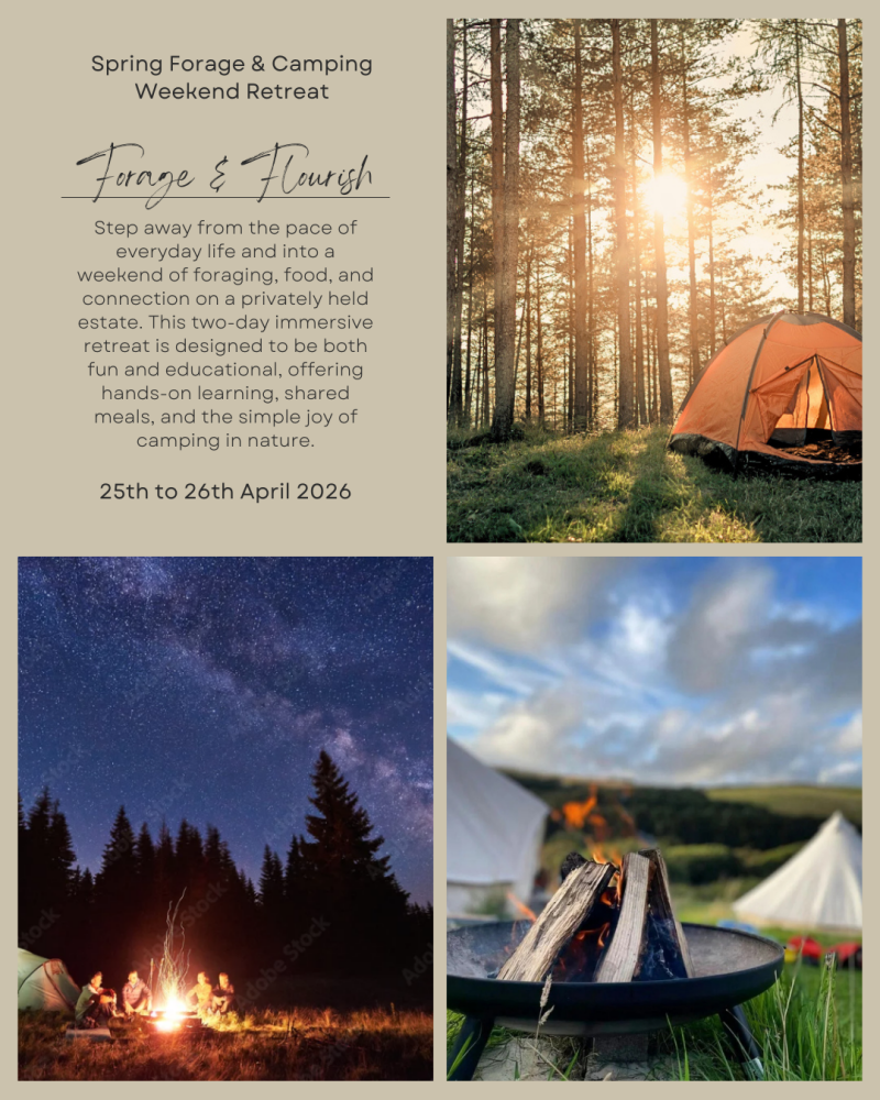 25th to 26th April 2026: Spring Forage & Camping Weekend Retreat