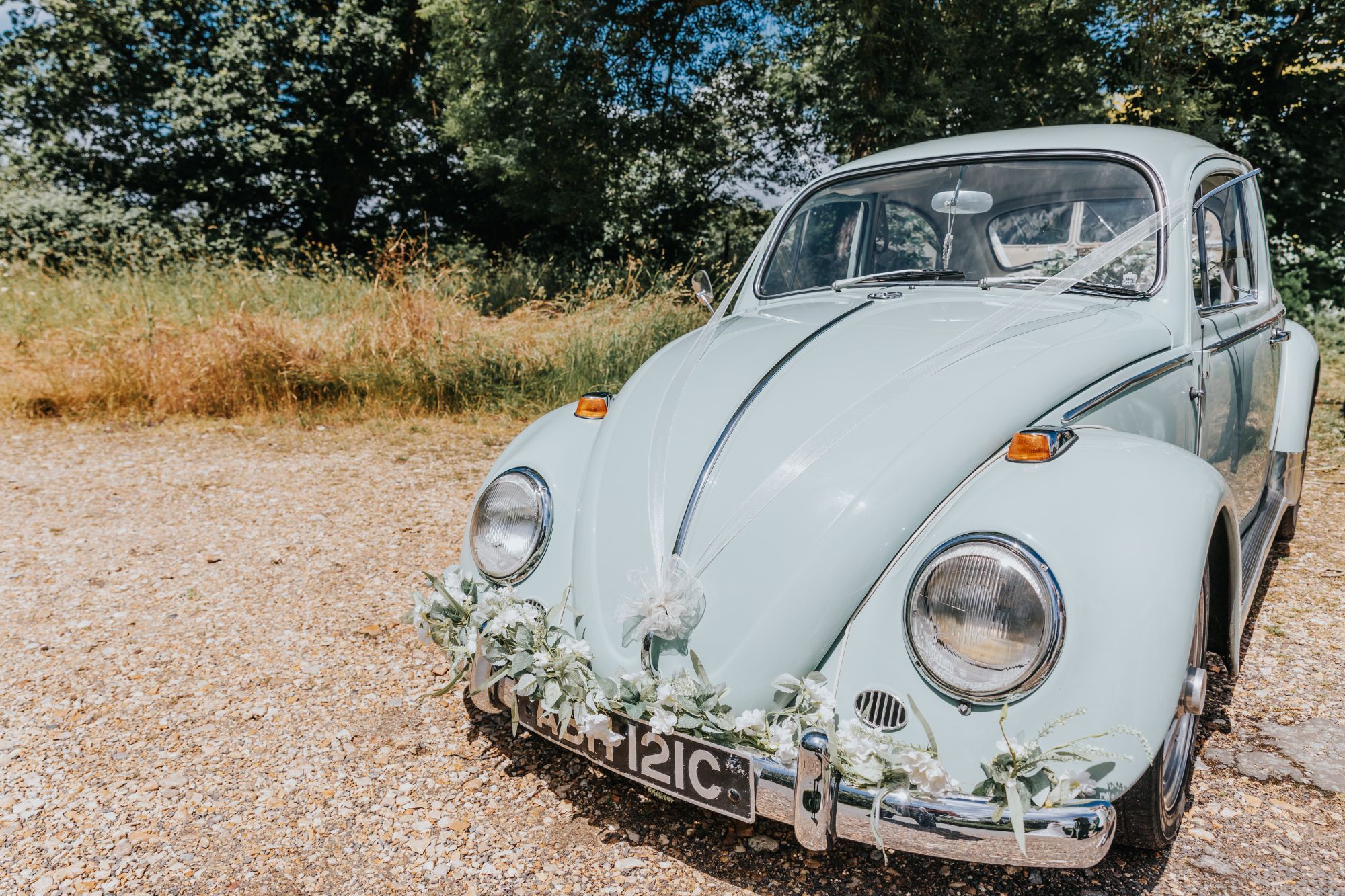 Dorset Dubhire - Lilah (Lotus Photography)