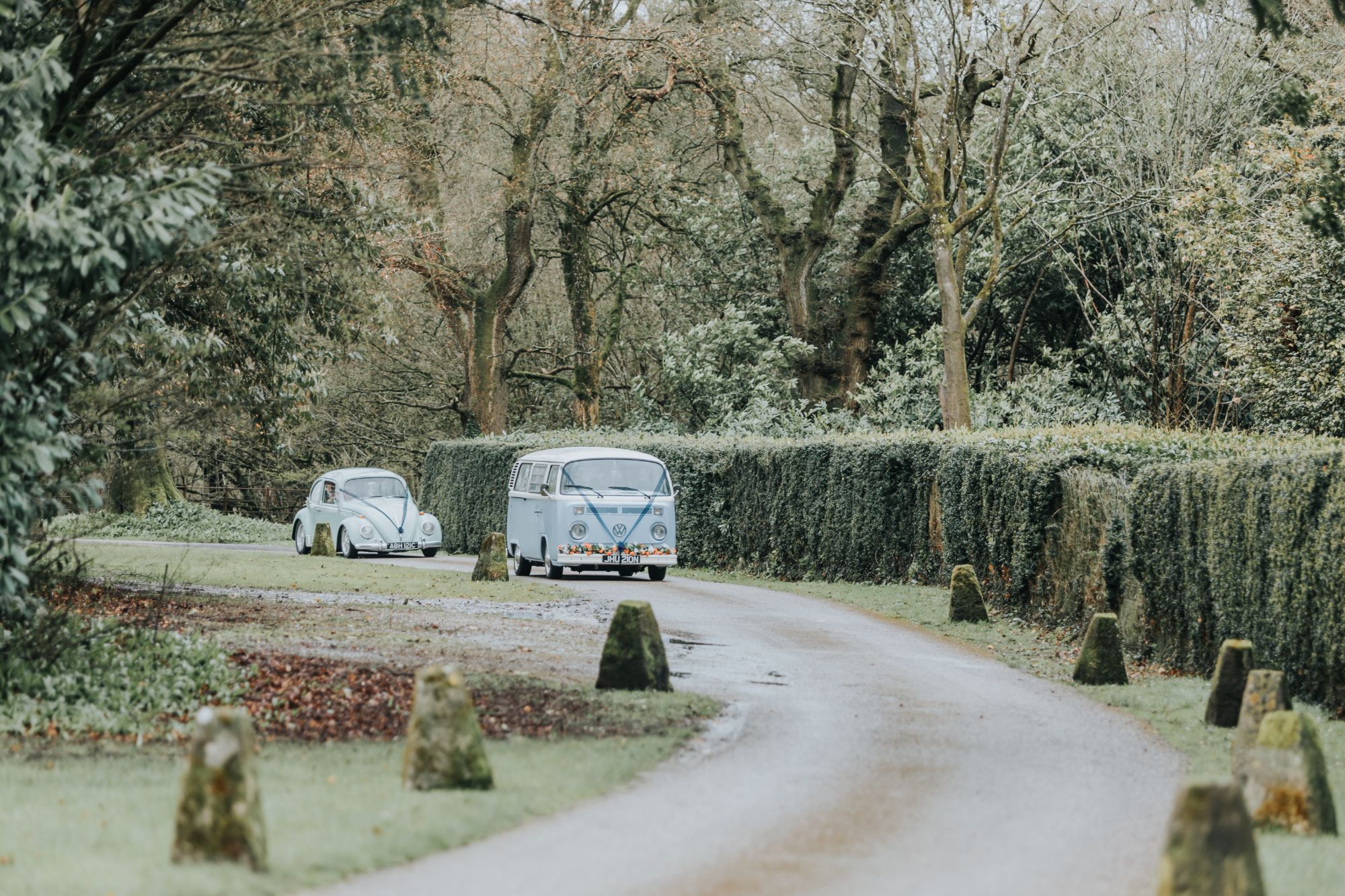 Dorset Dubhire - Lucy (Lotus Photography) 2