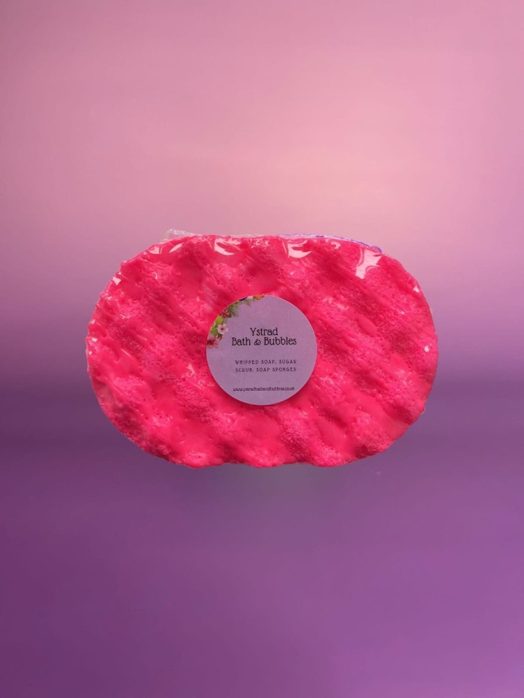 Fruit Loops Soap Sponge