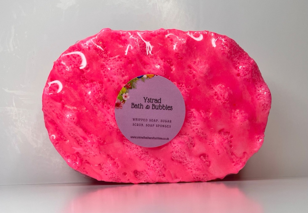 Hotel Of Dreams Soap Sponge