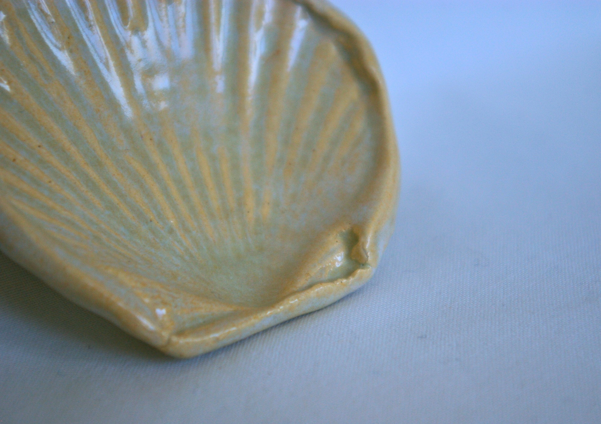 Oyster shell small 2