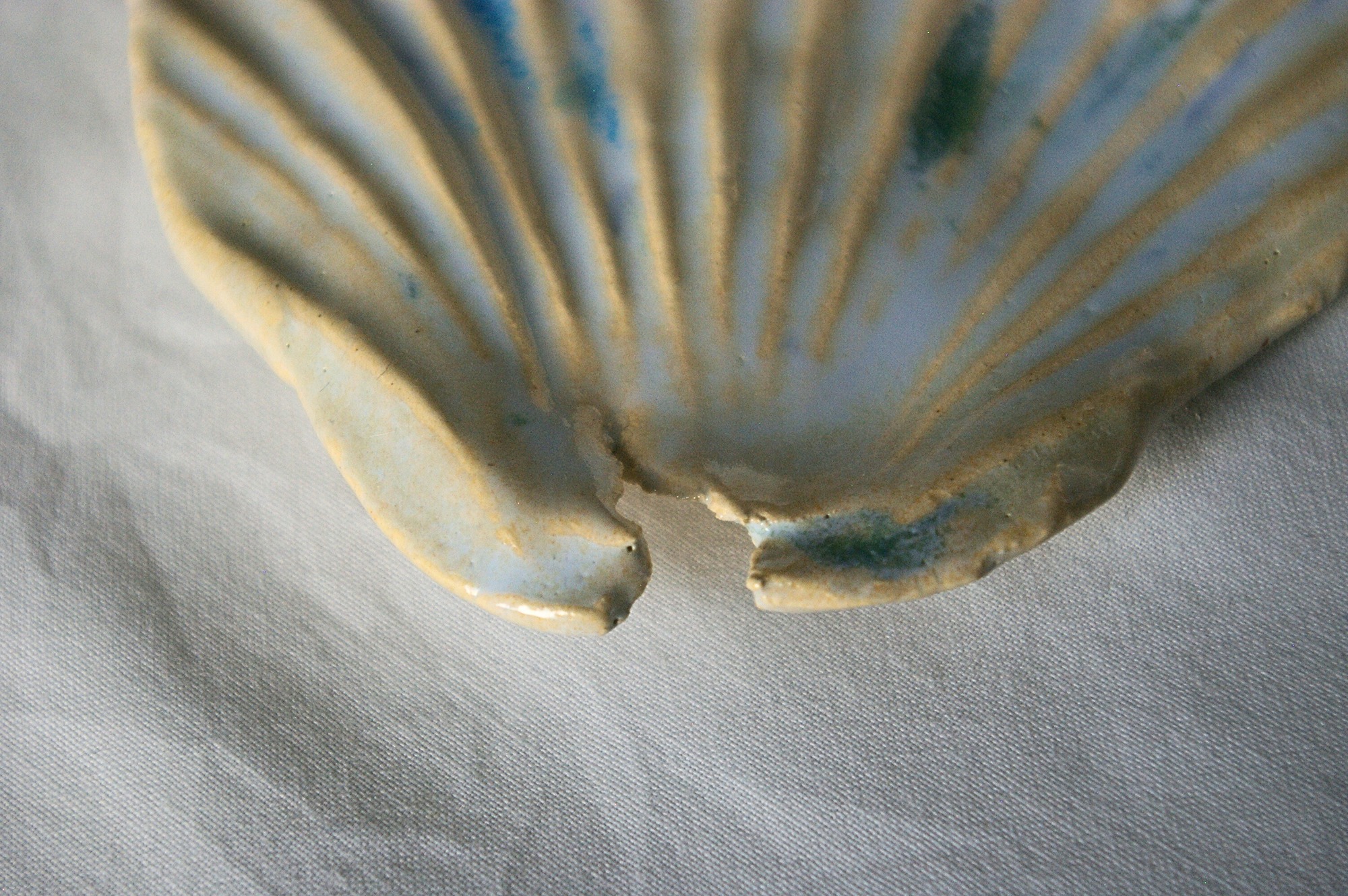 Oyster shell plus random detail