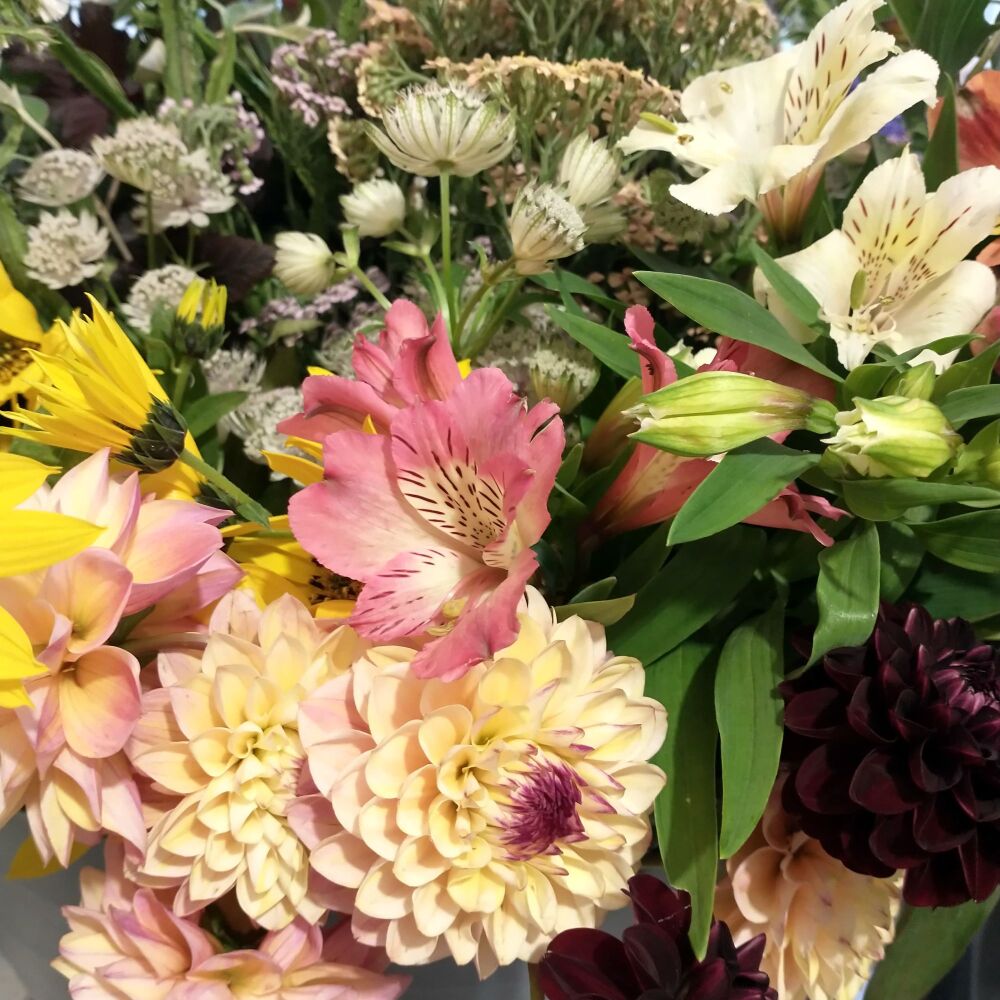Botanical Casting | Best Craft Workshops Lincoln