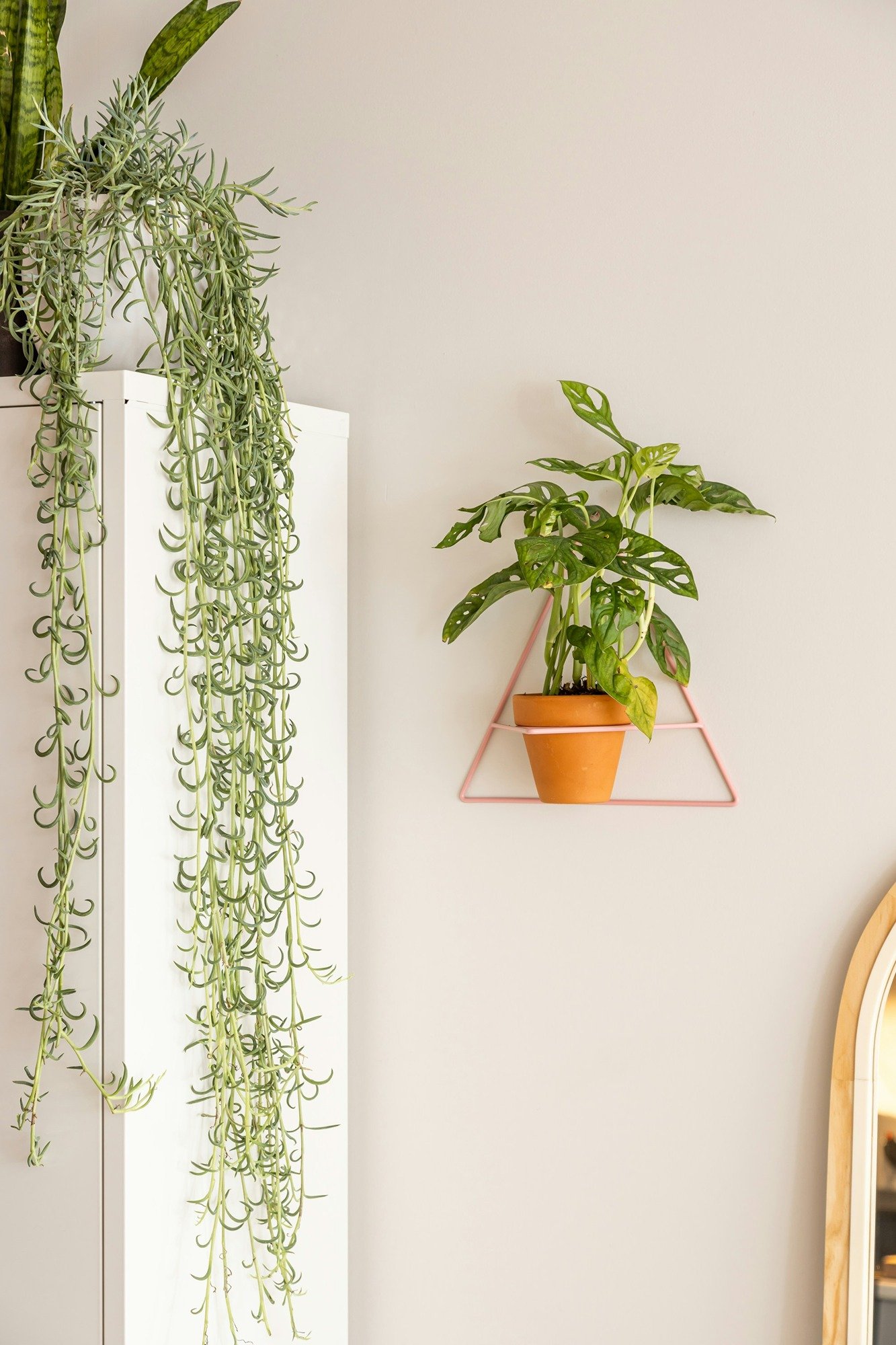 picture-of-window-looking-out-on-to-sunny-garden.jpg