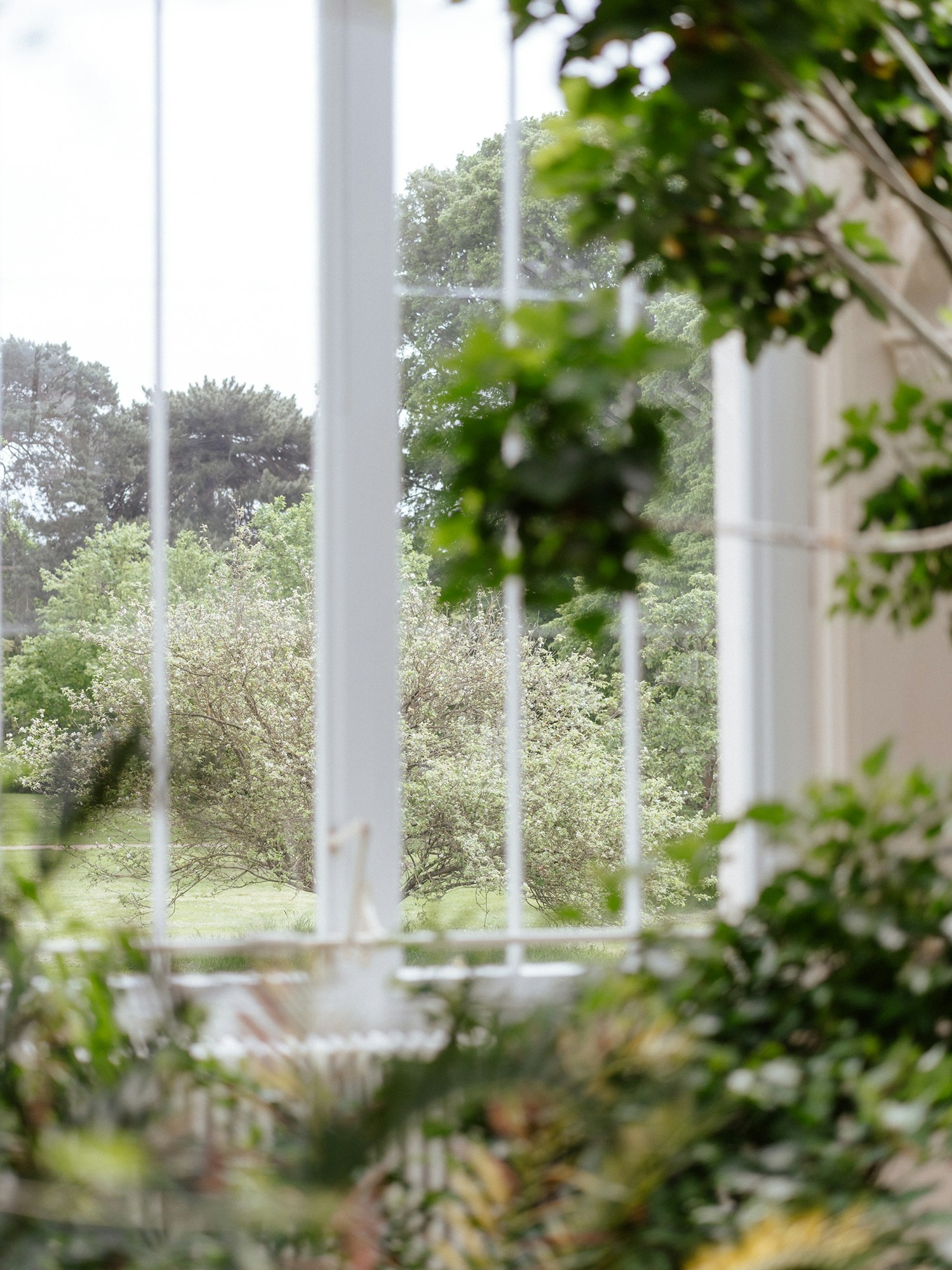 image of green plants surrounding window frame looking out to large garden