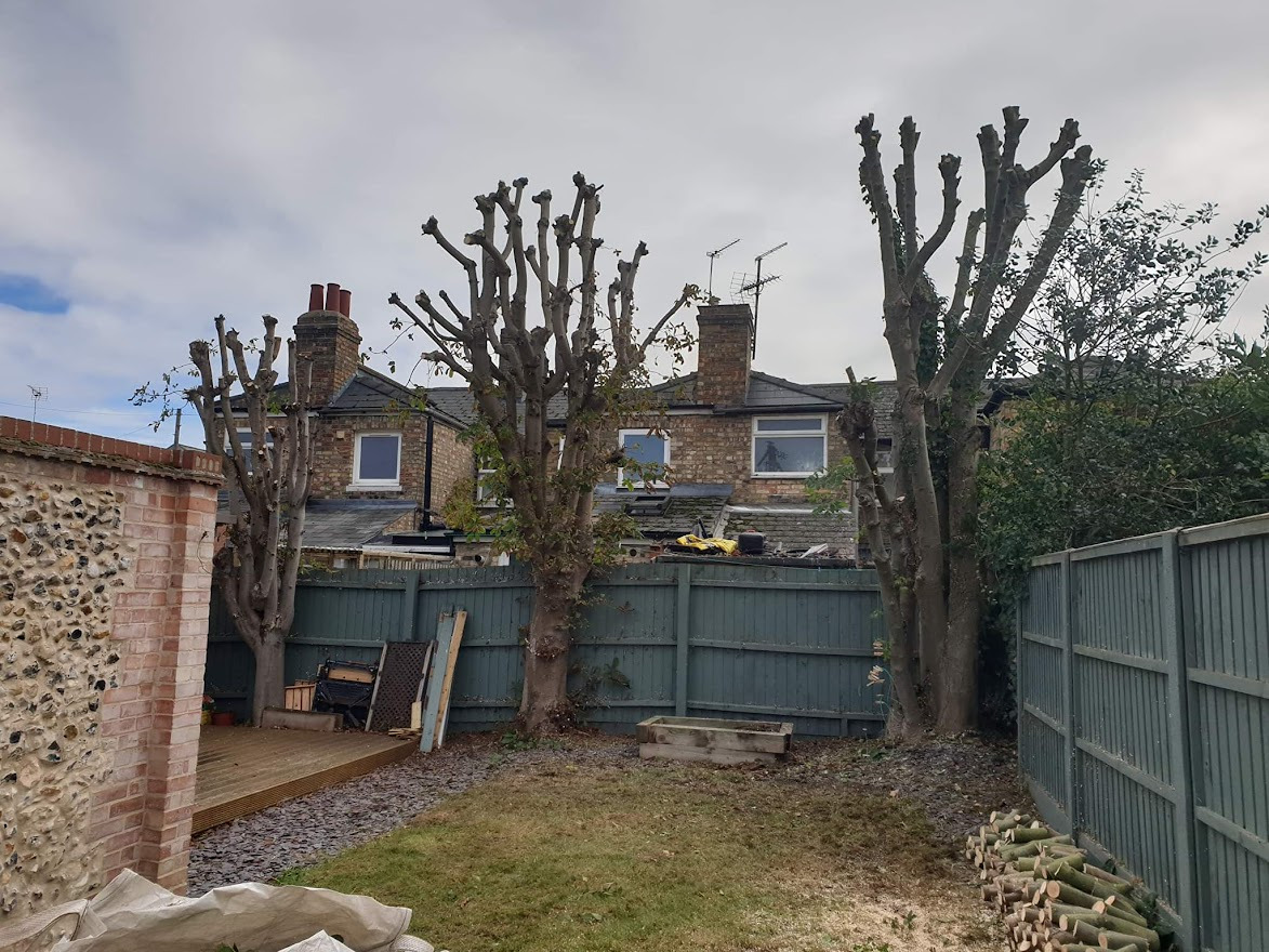 received_883800933006629