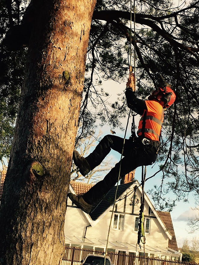 received_10213251493134812