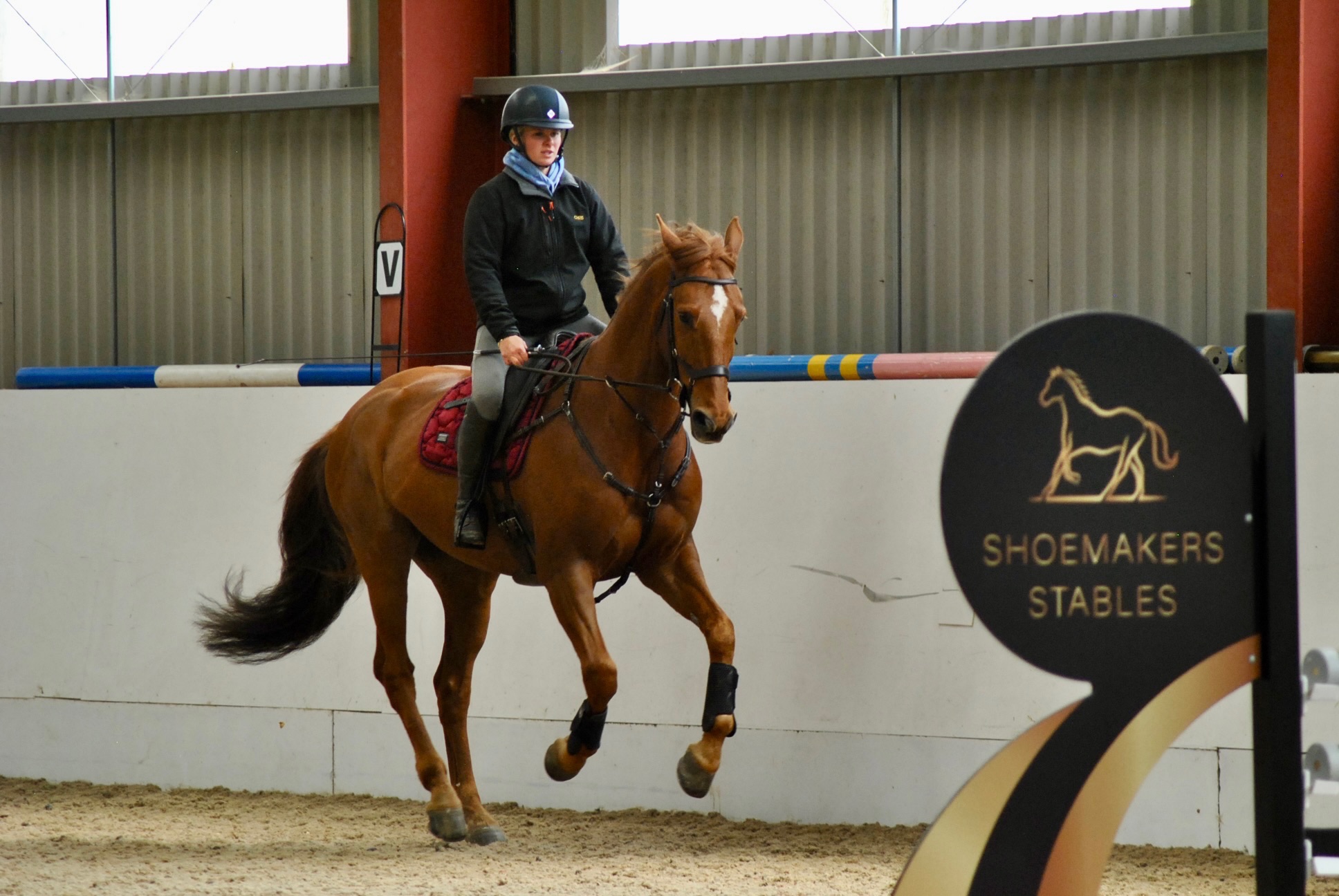 Schooling Livery