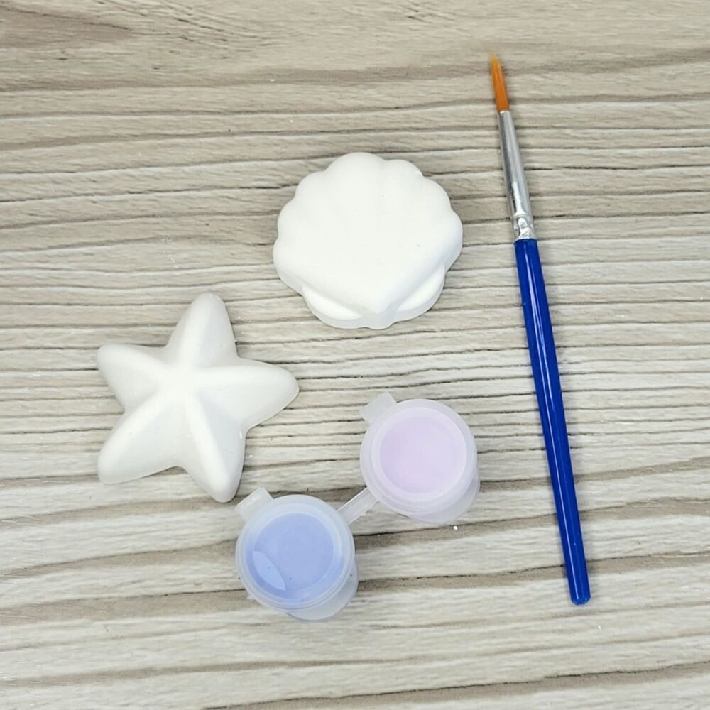 Paint Your Own Sea Shells  – Under The Sea Plaster Painting Kit (Party Favor Size)