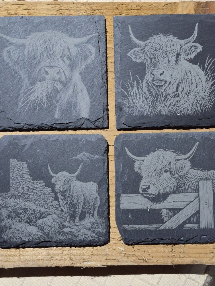 Highland Cow Coasters Set Of 4 In A Box