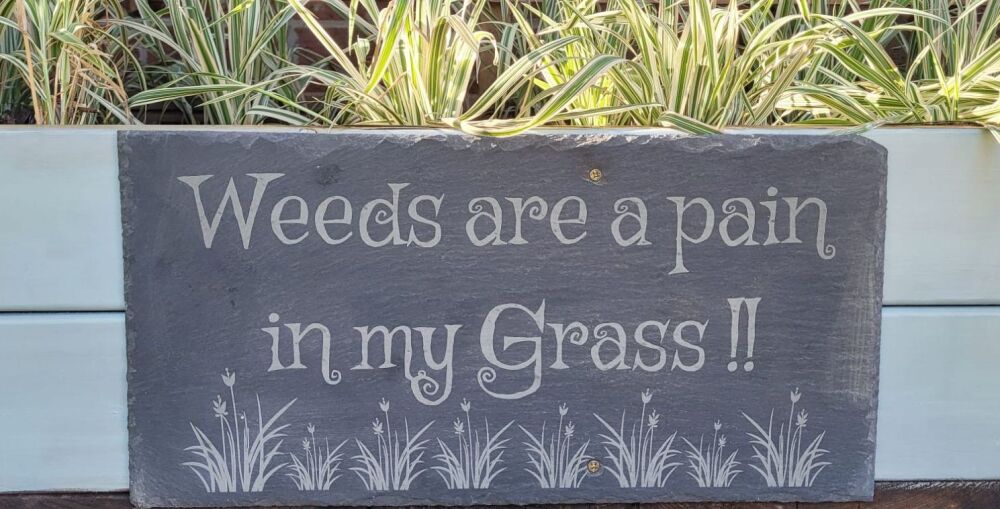 Weeds Are A Pain In My Grass Slate Sign