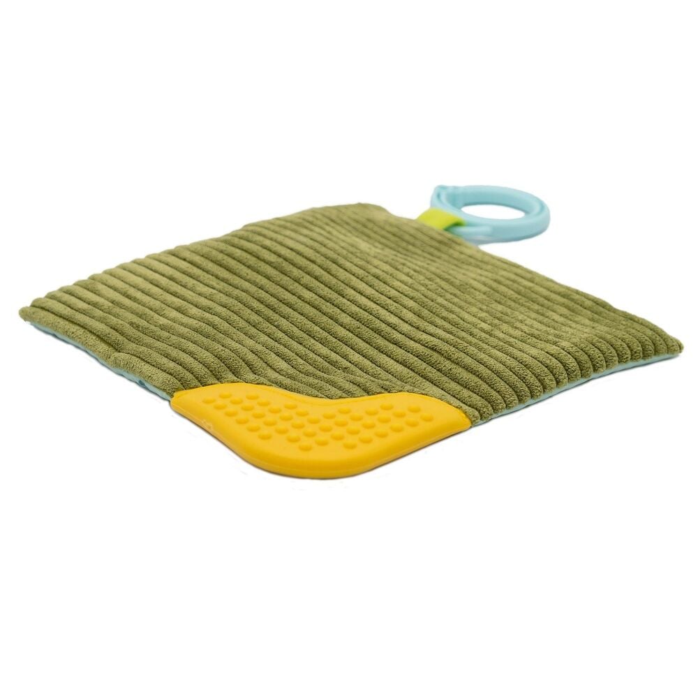 Teether Pebblesaurus Crinkle  - Mary Meyer