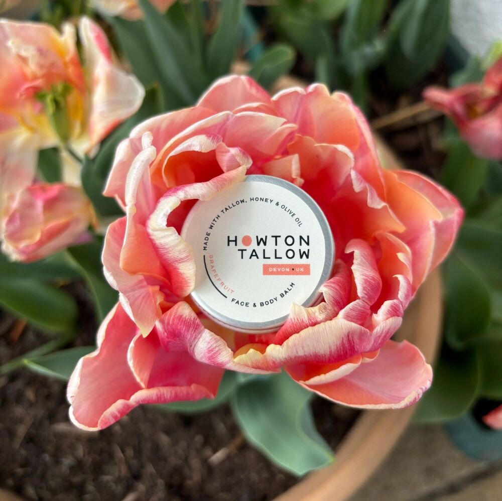 Grapefruit Face & Body Balm - Mini Size 15g