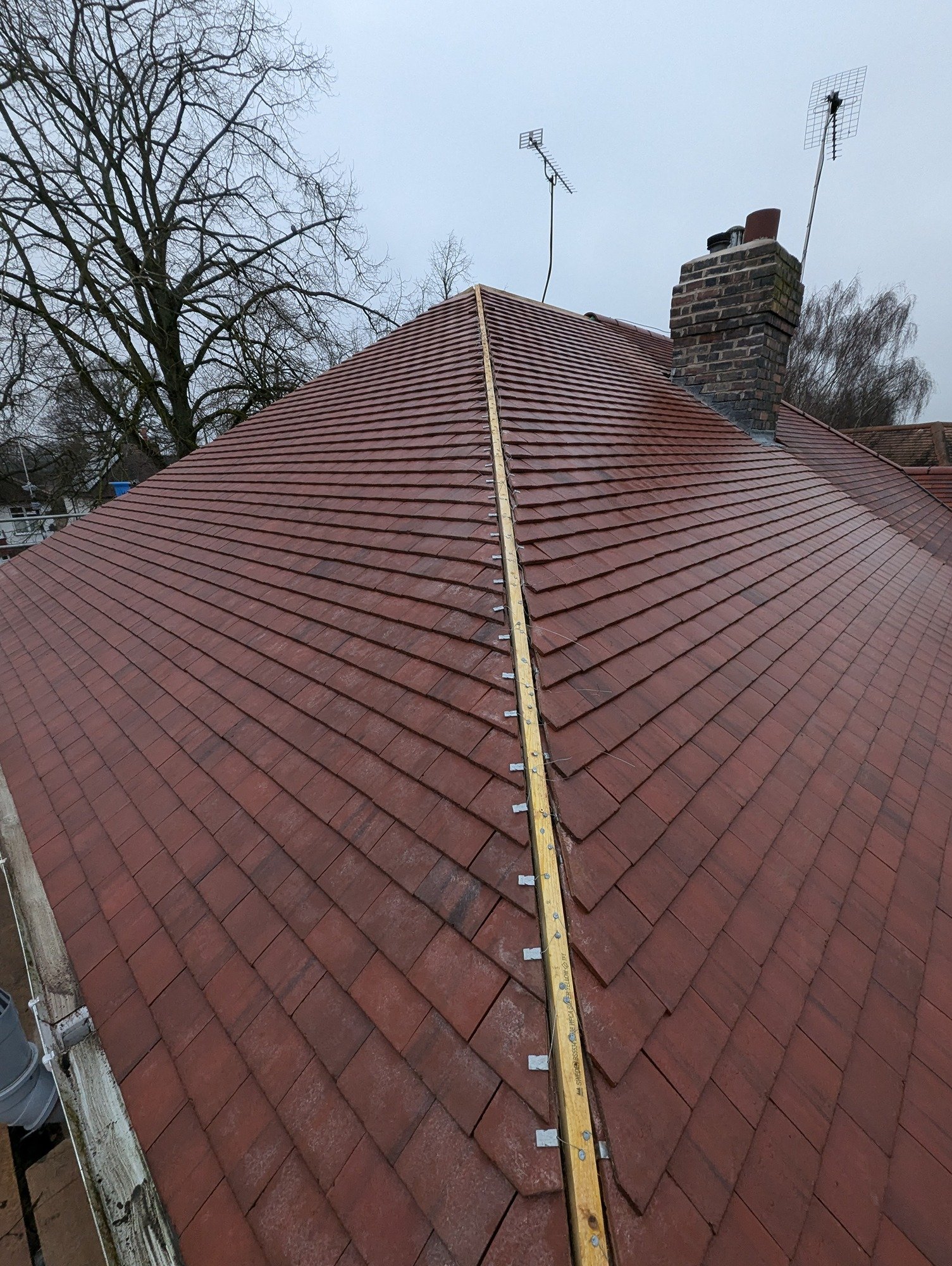 1c413b55-c692-42db-afb9-5bc9d23448f7-1_all_748