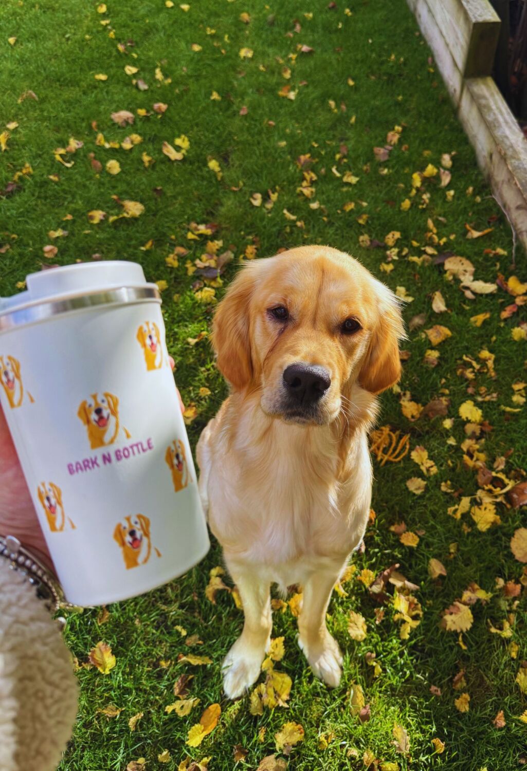 Golden Retriever Design Coffee Cup