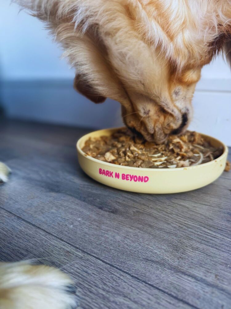 Slow Feeding Lick Mats