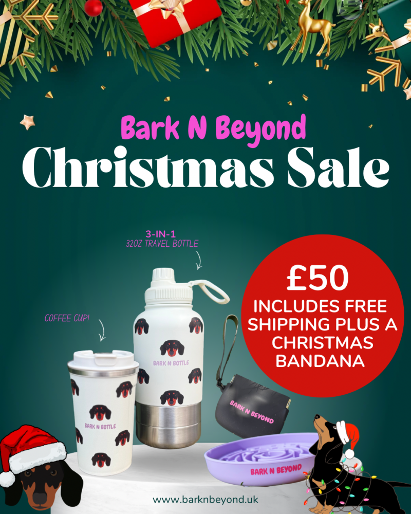 Christmas Bundle- Dachshund Edition