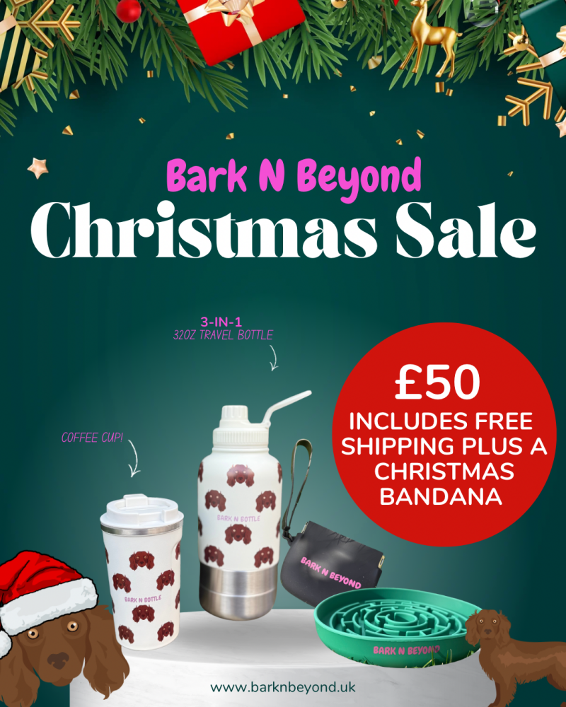 Christmas Bundle- Spaniel Edition