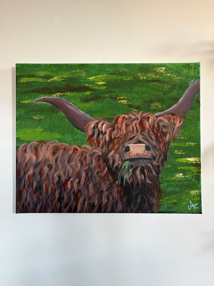 'Highland cow' original by Amy Cadwallader 22 x 18 inch canvas