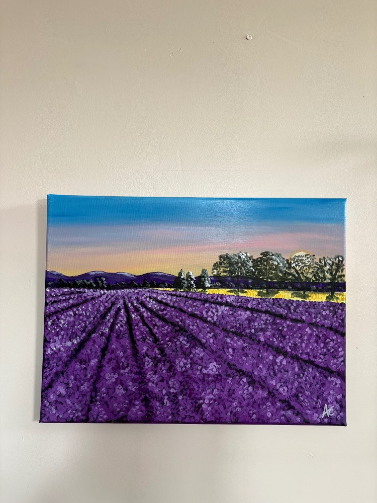 Lavender fields - original by Amy Cadwallader 16 x 12 inch
