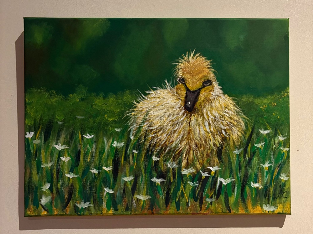 &lsquo;Spring chick&rsquo; 16 x 12 inch canvas