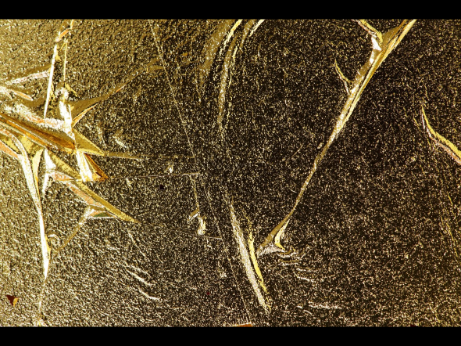 Gold leaf paintings